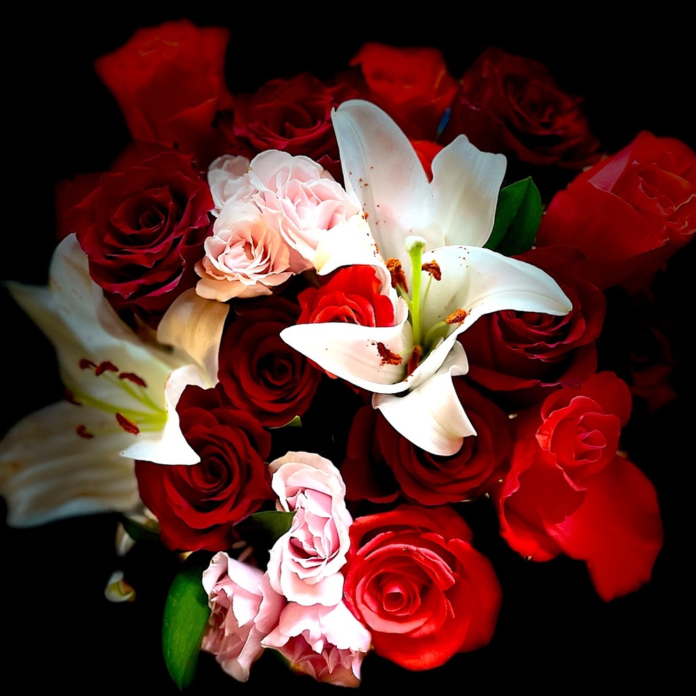 Meet your Posher, Shawna